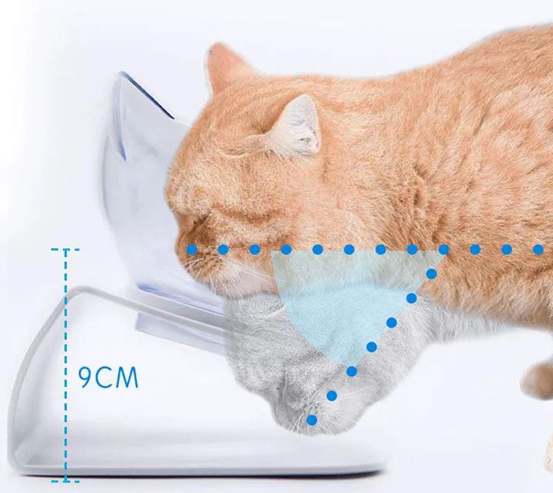 15° tilt adjustable non-slip pet double bowl