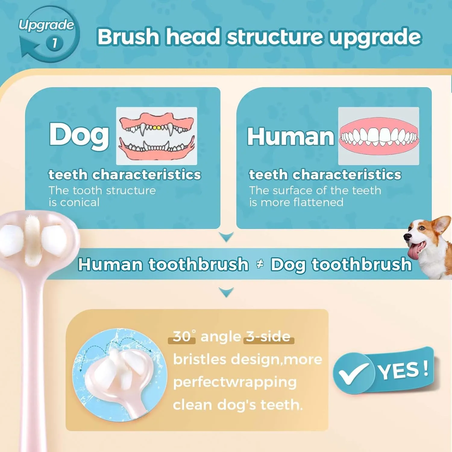 2-Pack 3-Sided Dog Toothbrush, Puppy Toothbrushes with Unique Bristle Technology, Oral Care for Pets, for Medium and Small Dogs