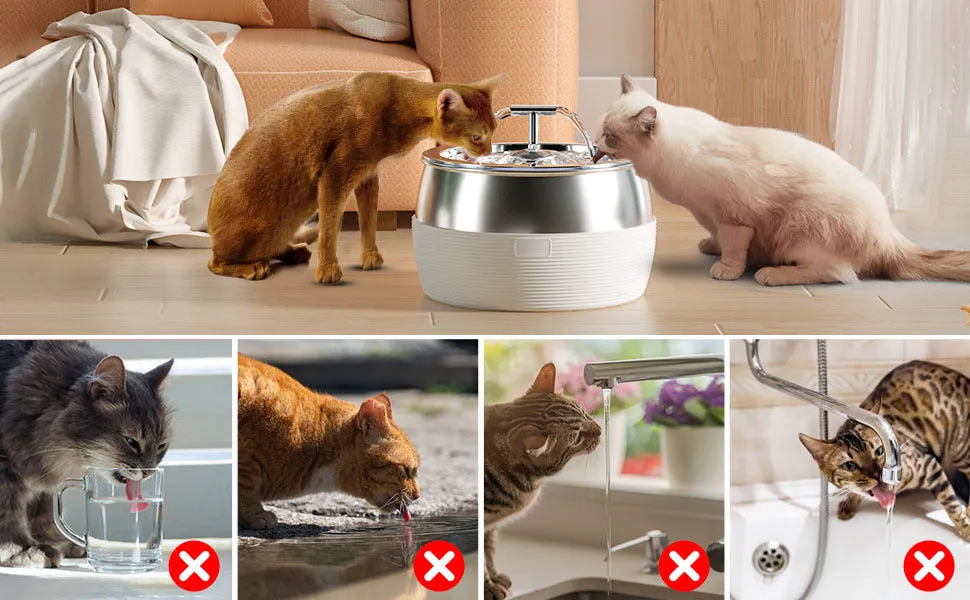 3L Electric Stainless Steel Pet Water Fountain BPA-Free