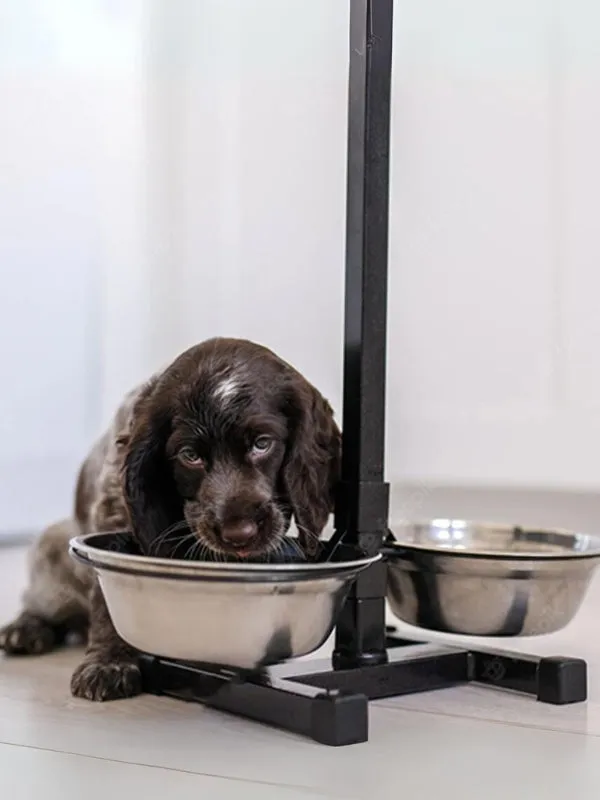 Adjustable Pet Bowls Feeding Station with Anti-Slip Stand - 3 Pieces