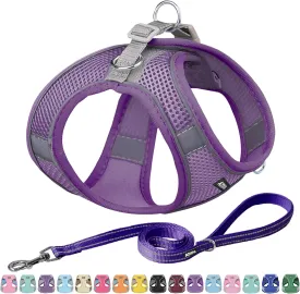 AIITLE Escape Proof Dog Harness - Step in Adjustable Dog Harness No Choke Over with Breathable Mesh and Quick-Release Buckle for Spring- Outdoor Walking, Camping for Medium Dogs Pure Purple XL