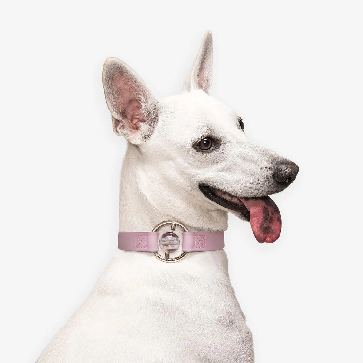 All Eyes On Me Dog Collar Lilac Haze/Chevron Amethyst