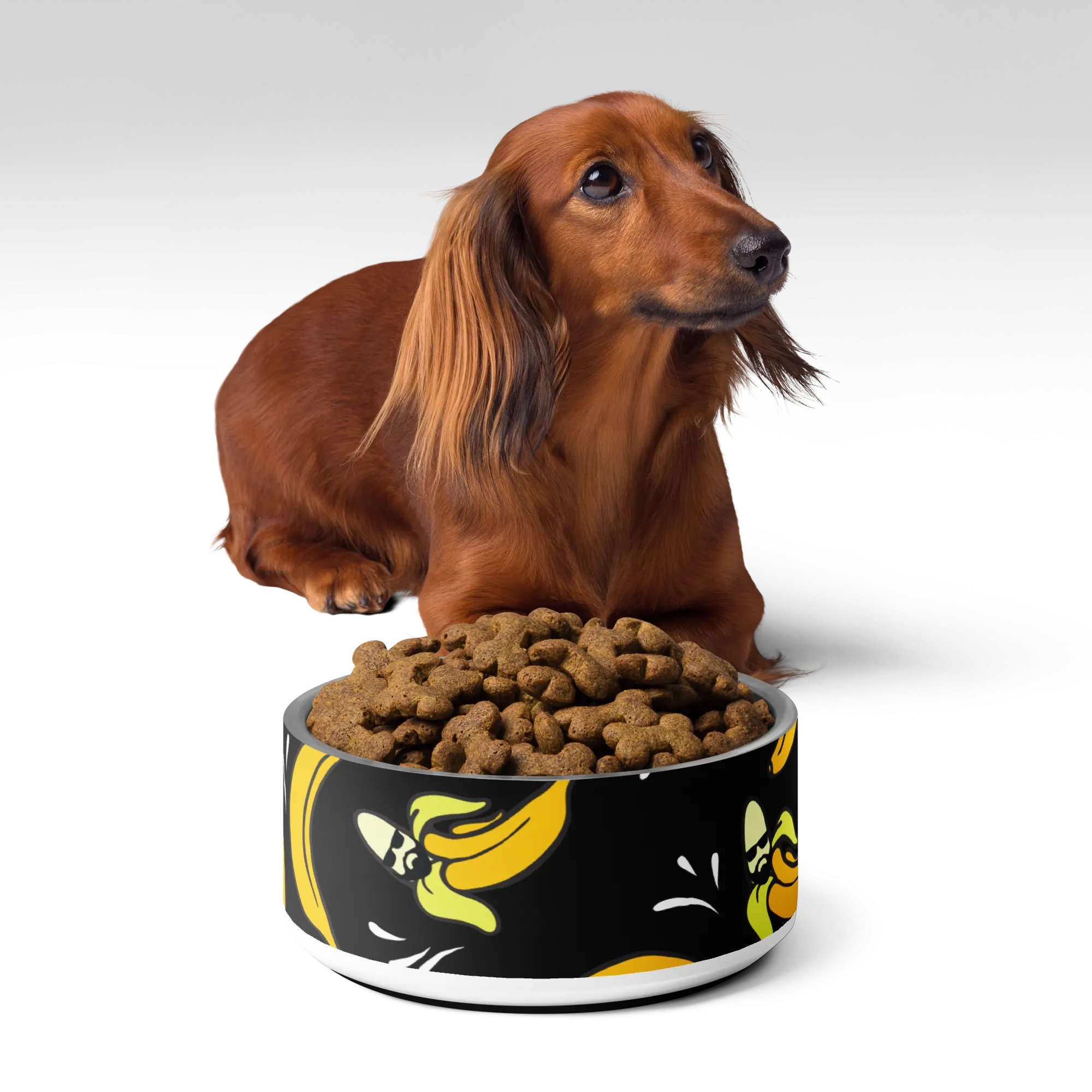 Bananas Pet bowl