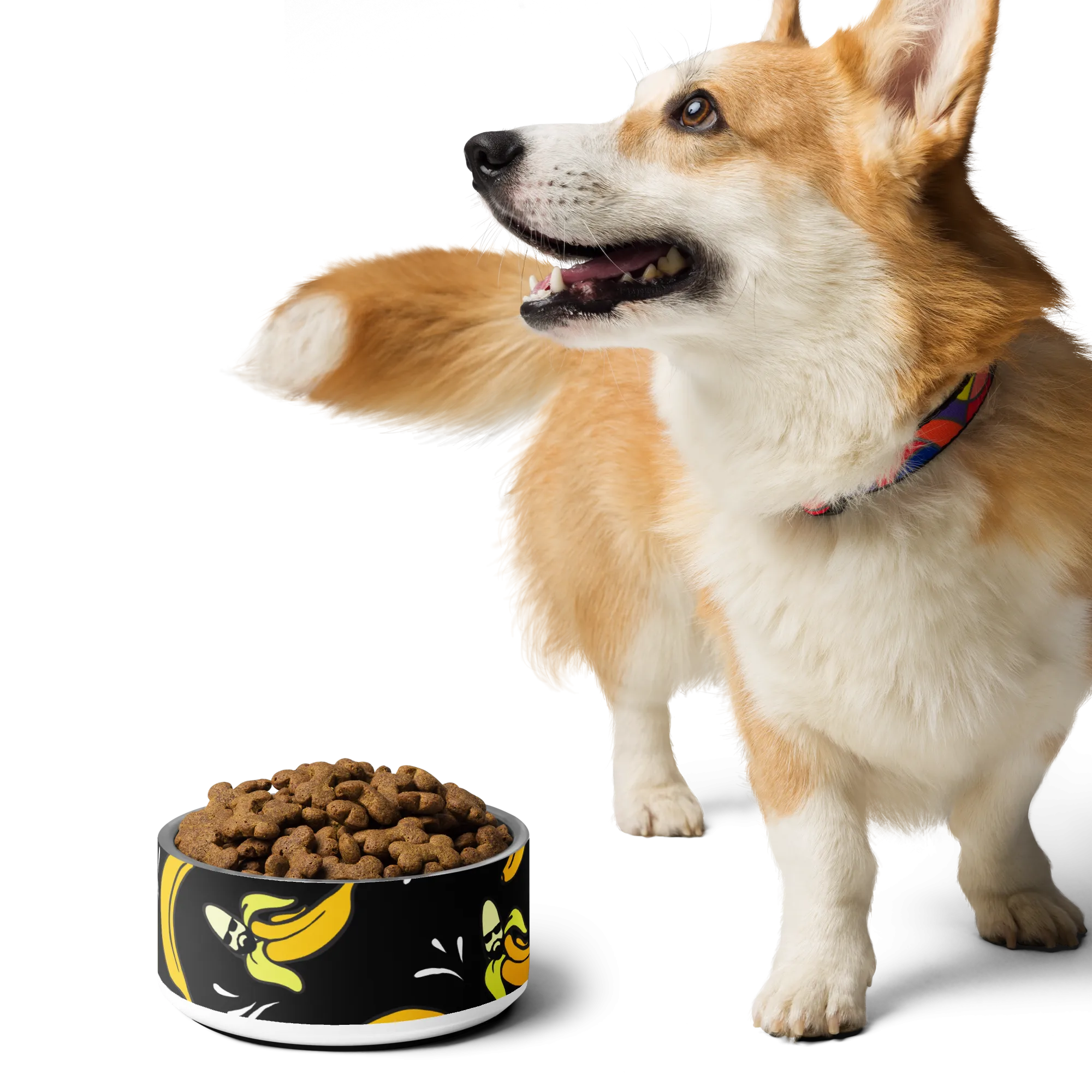 Bananas Pet bowl
