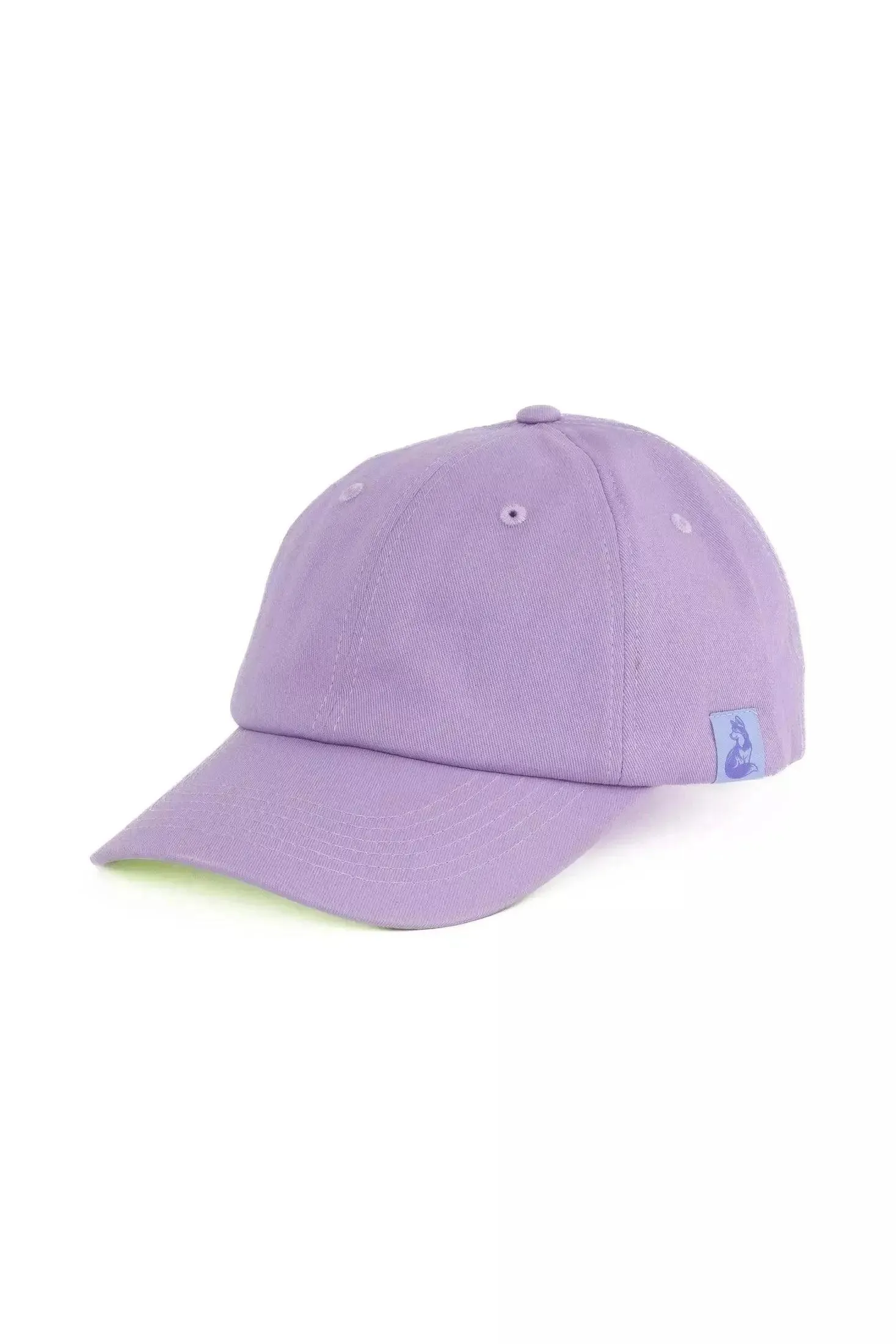 Baseball Cap with Leash Matching Set