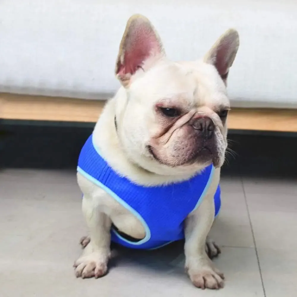 Beat the Heat with Dog Cooling Vest