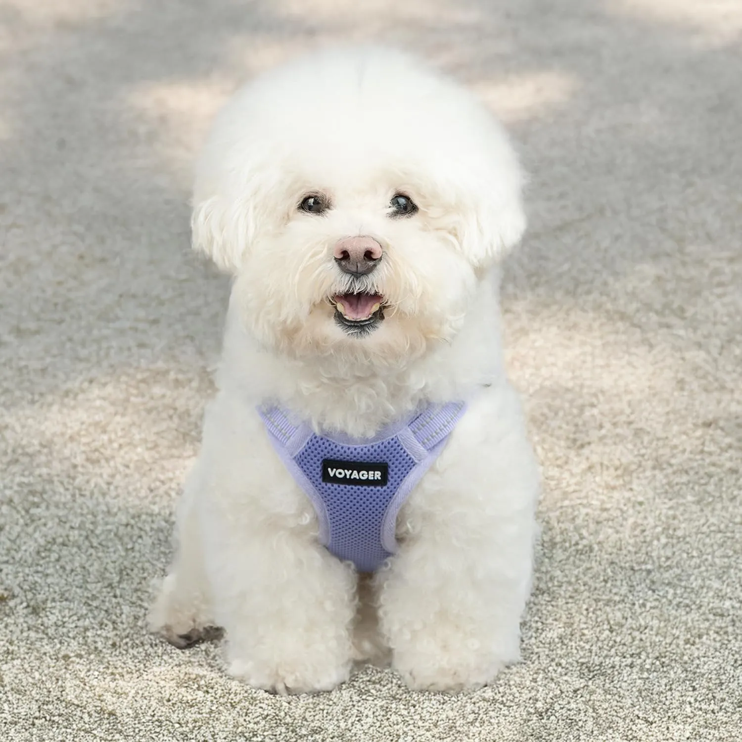 Best Pet Supplies Voyager Adjustable Dog Vest Harness Breathable No Pull Harness for Small, Medium, Large Dogs, Heavy Duty Harness, Easy Step-in, Reflective Stripes - Lavender, M (Chest: 17-21")