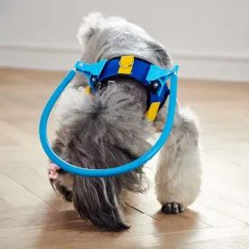 Blind Dogs Safe Harness Anti-collision Ring Animal Protection