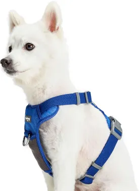 Blueberry Pet Soft & Comfy 3M Reflective Dog Harness Vest | Mesh Padded No Pull | Multi-Colored Stripe - Blue | Adjustable for Small Dogs