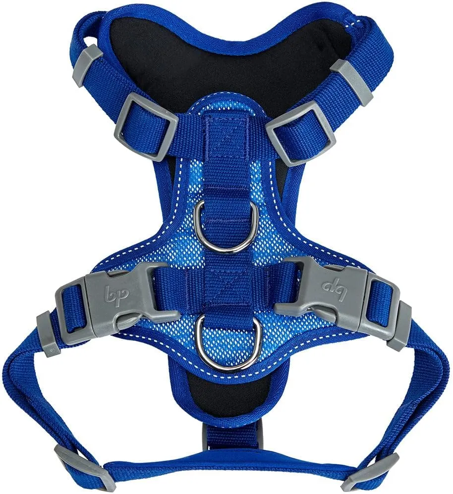Blueberry Pet Soft & Comfy 3M Reflective Dog Harness Vest | Mesh Padded No Pull | Multi-Colored Stripe - Blue | Adjustable for Small Dogs