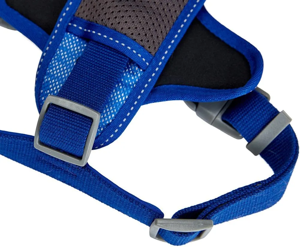 Blueberry Pet Soft & Comfy 3M Reflective Dog Harness Vest | Mesh Padded No Pull | Multi-Colored Stripe - Blue | Adjustable for Small Dogs