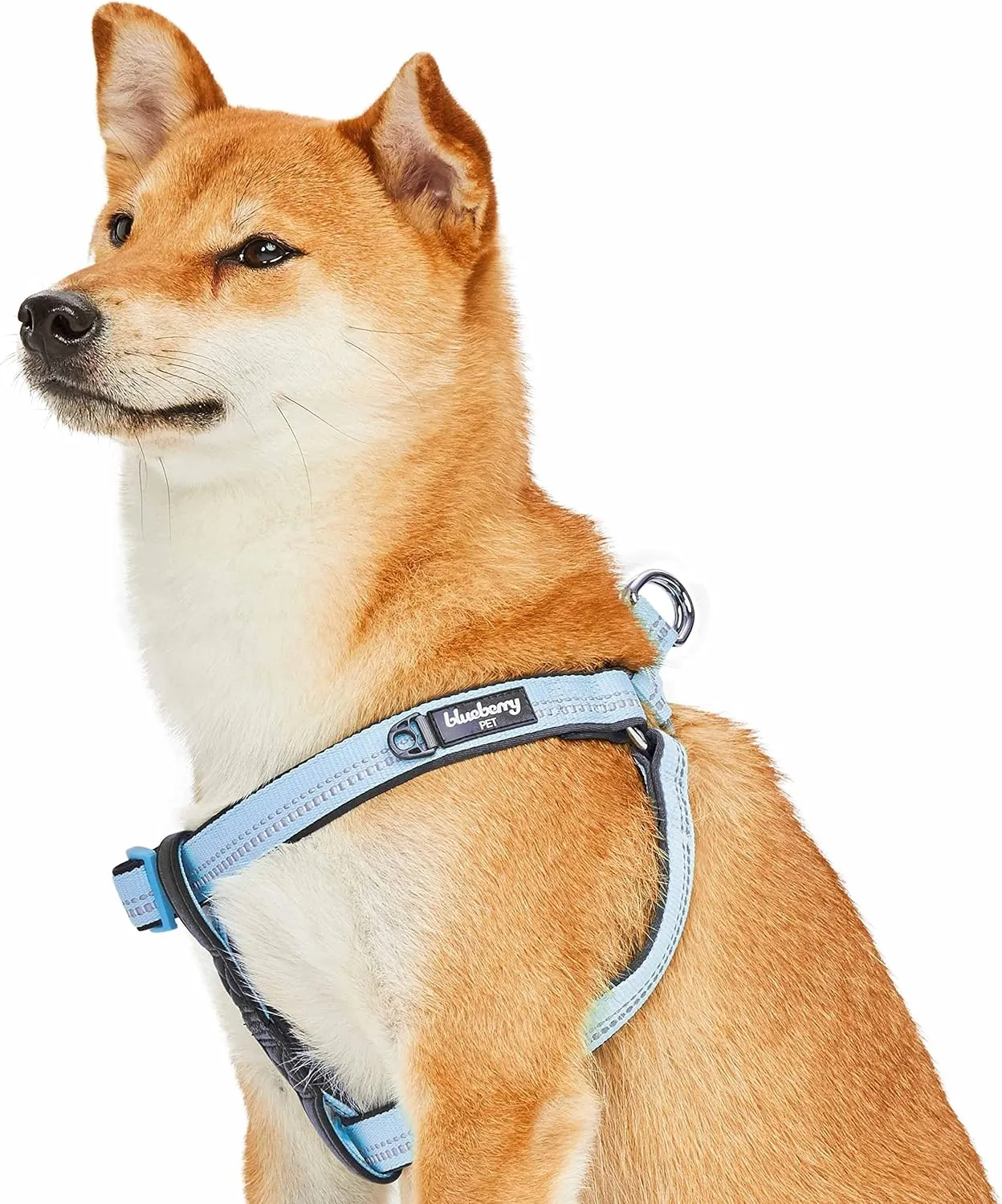 Blueberry Pet Soft & Comfy 3M Reflective Step-in Pastel Color Padded Dog Harness, Chest Girth 23.5" - 29.5", Baby Blue, Large, Adjustable Harnesses for Dogs