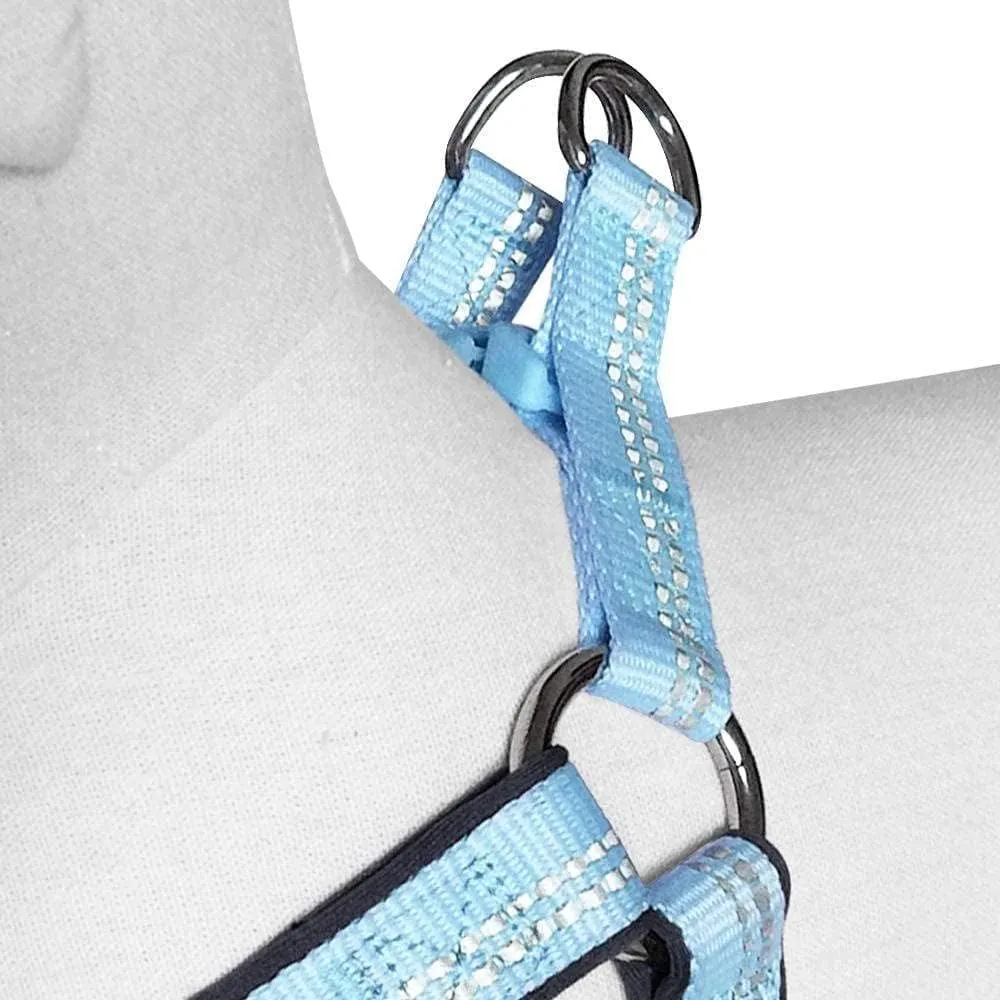 Blueberry Pet Soft & Comfy 3M Reflective Step-in Pastel Color Padded Dog Harness, Chest Girth 23.5" - 29.5", Baby Blue, Large, Adjustable Harnesses for Dogs
