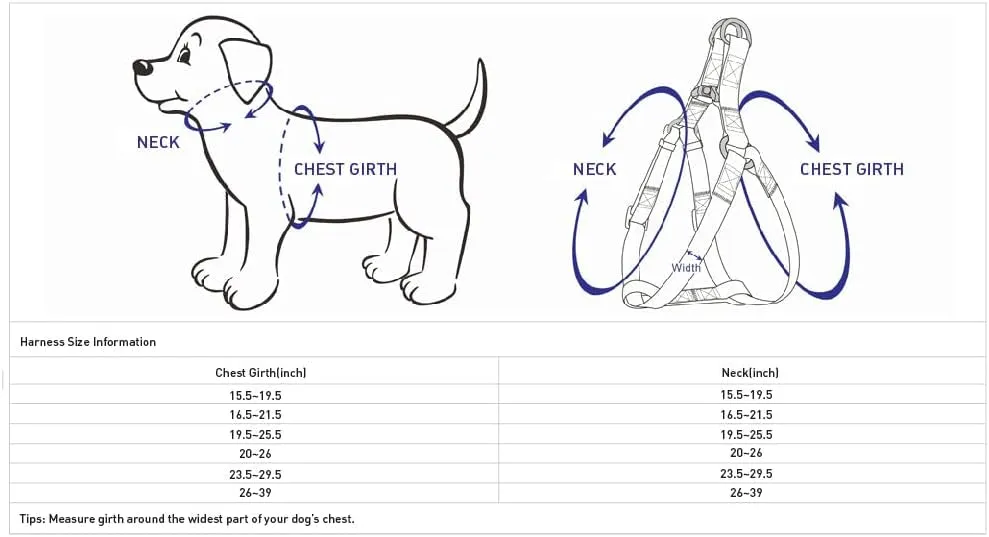Blueberry Pet Soft & Comfy 3M Reflective Step-in Pastel Color Padded Dog Harness, Chest Girth 23.5" - 29.5", Baby Blue, Large, Adjustable Harnesses for Dogs