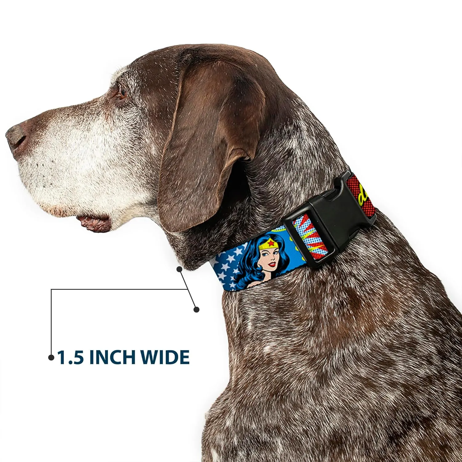 Buckle-Down Plastic Clip Collar - Wonder Woman Face w/Stars - 1.5" Wide - Fits 16-23" Neck - Medium