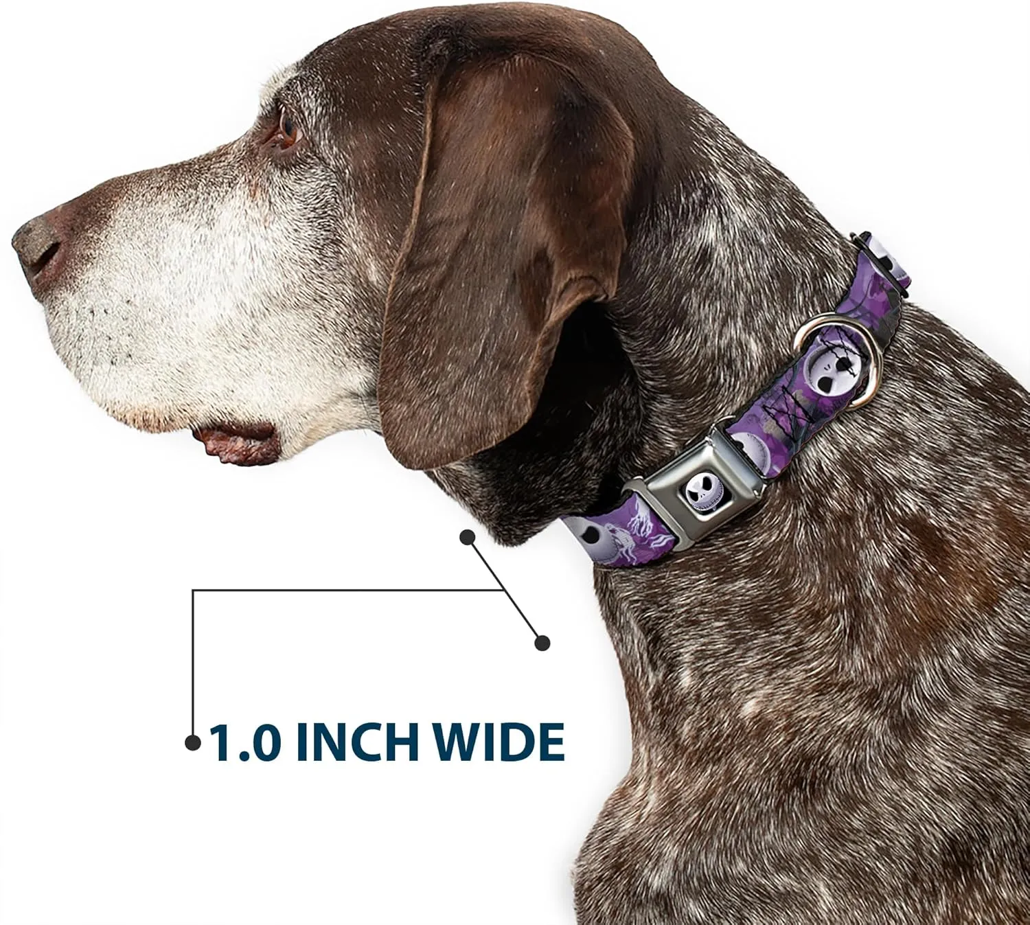 Buckle-Down Seatbelt Buckle Dog Collar - Jack Expressions/Ghosts in Cemetery Purples/Grays/White - 1.5" Wide - Fits 16-23" Neck - Medium
