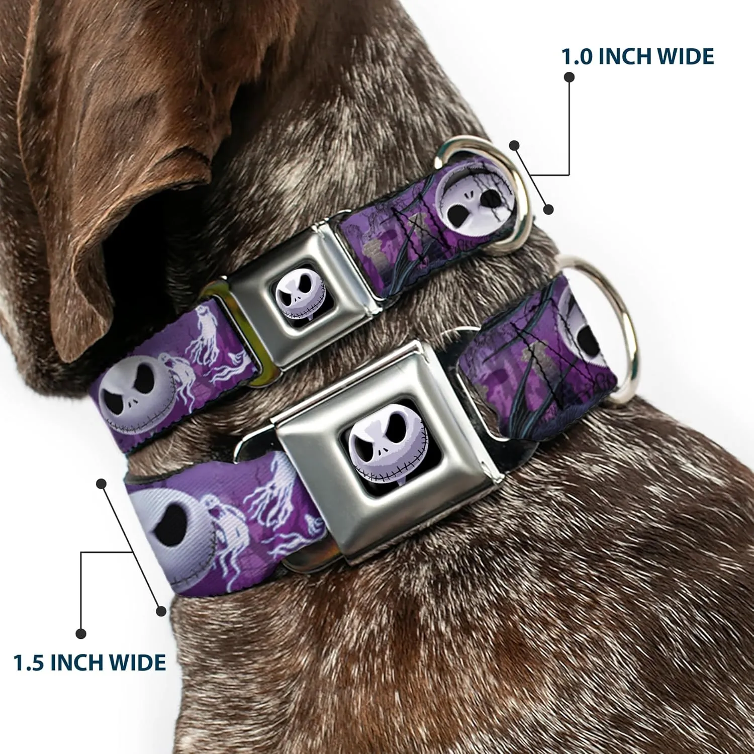 Buckle-Down Seatbelt Buckle Dog Collar - Jack Expressions/Ghosts in Cemetery Purples/Grays/White - 1.5" Wide - Fits 16-23" Neck - Medium