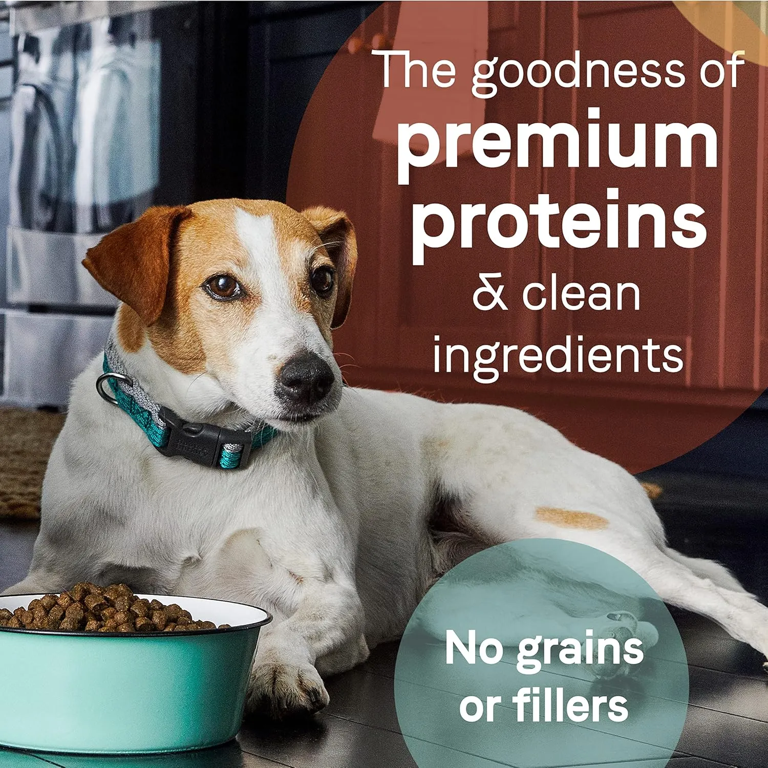 Canidae Pure Limited Ingredient Premium Adult Dry Dog Food, Real Salmon & Sweet Potato Recipe, 22 lbs, Grain Free