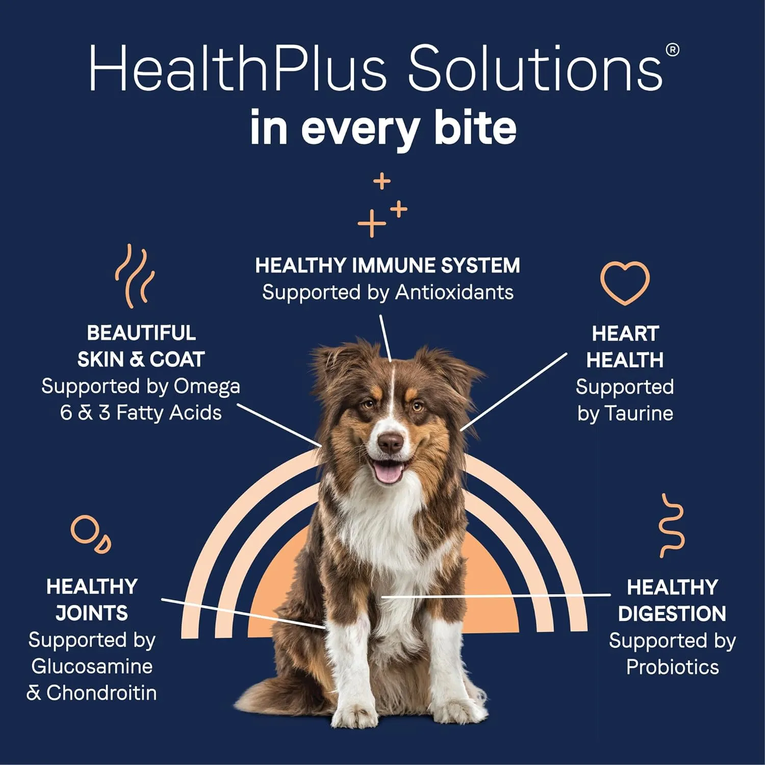 Canidae Pure Limited Ingredient Premium Adult Dry Dog Food, Real Salmon & Sweet Potato Recipe, 22 lbs, Grain Free