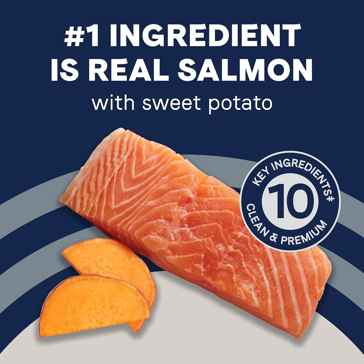 Canidae Pure Limited Ingredient Premium Adult Dry Dog Food, Real Salmon & Sweet Potato Recipe, 22 lbs, Grain Free
