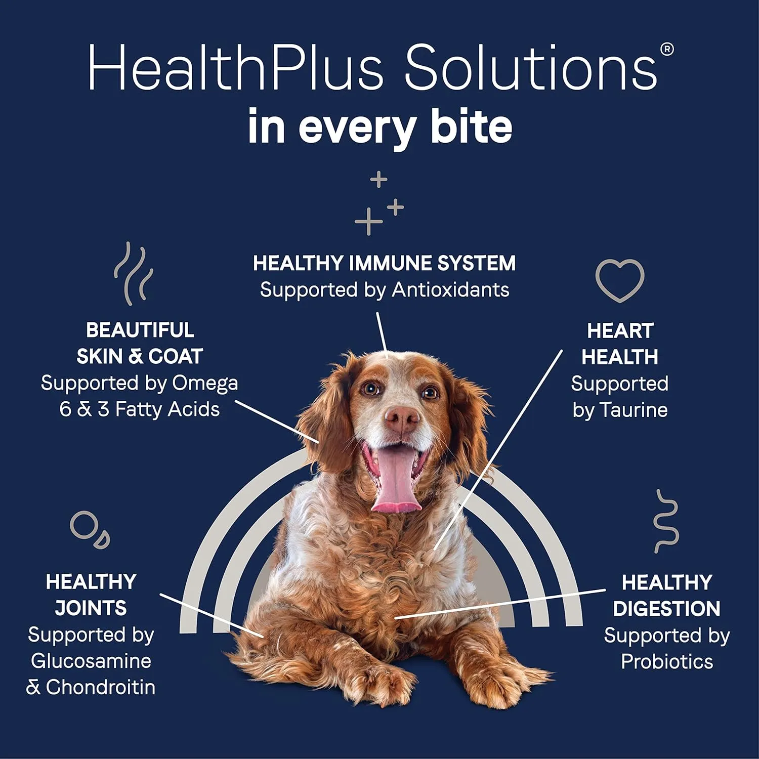 Canidae Pure Limited Ingredient Premium Dry Dog Food for Seniors, Real Chicken, Sweet Potato & Garbanzo Bean Recipe, 22 lbs, Grain Free