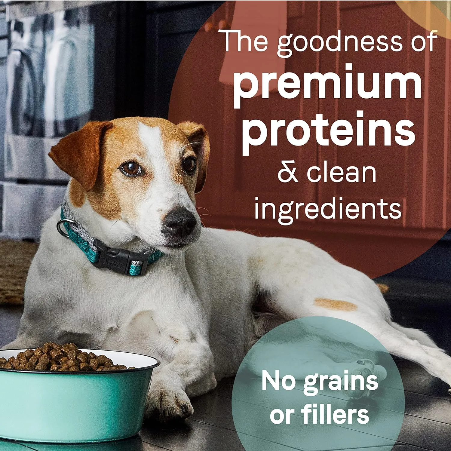 Canidae Pure Limited Ingredient Premium Dry Dog Food for Seniors, Real Chicken, Sweet Potato & Garbanzo Bean Recipe, 22 lbs, Grain Free