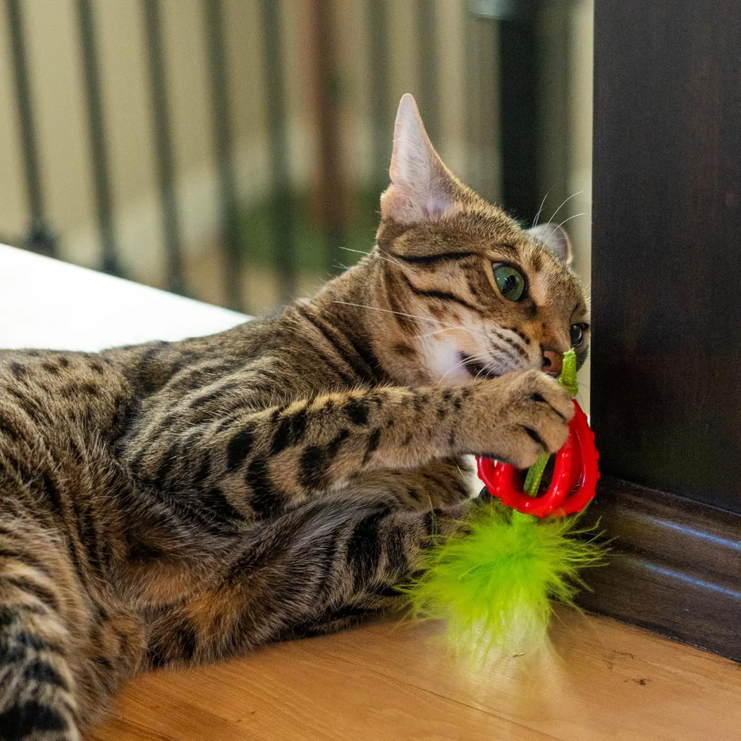 Catstages Dental Strawberry Teether, Soft and Textured Cat Chew Toy, Catnip Oil Coating, Pink