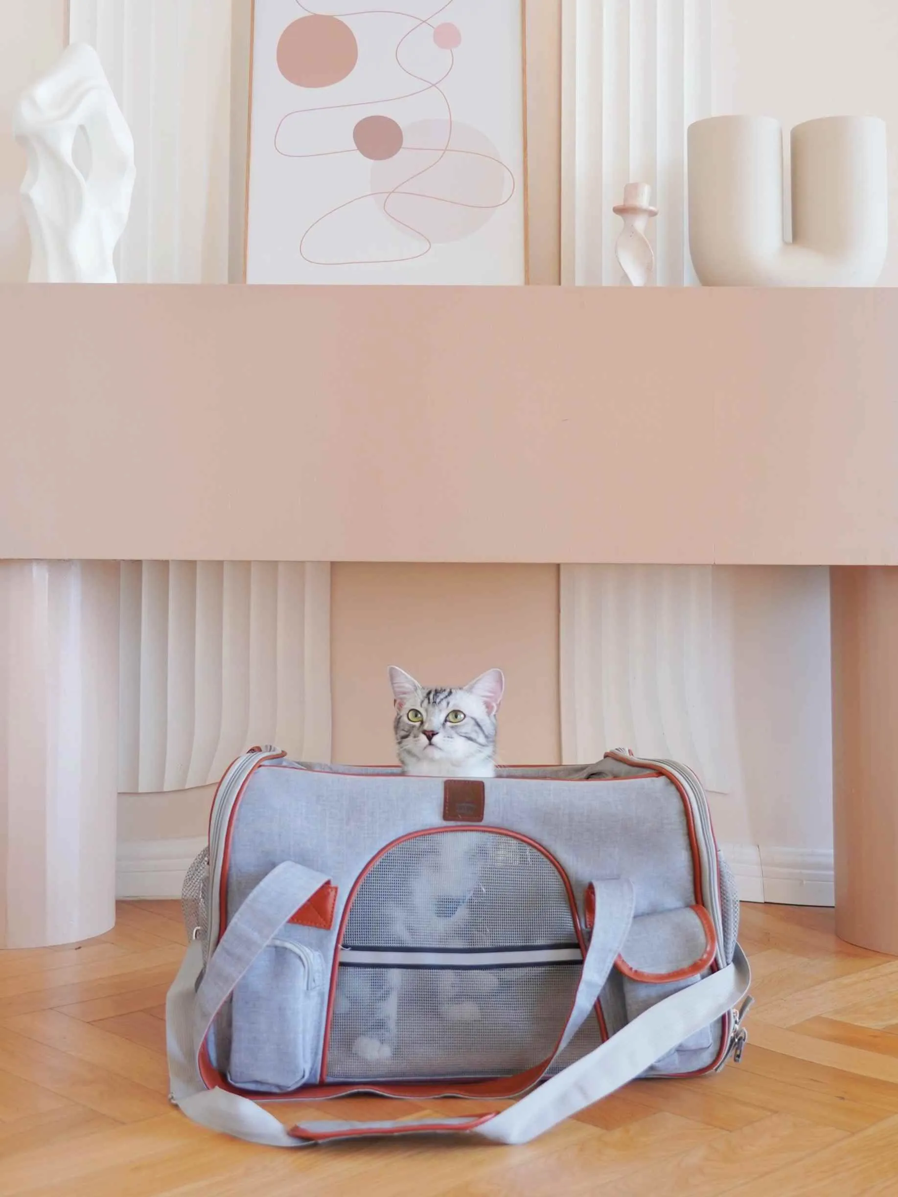 Chip cookies bag