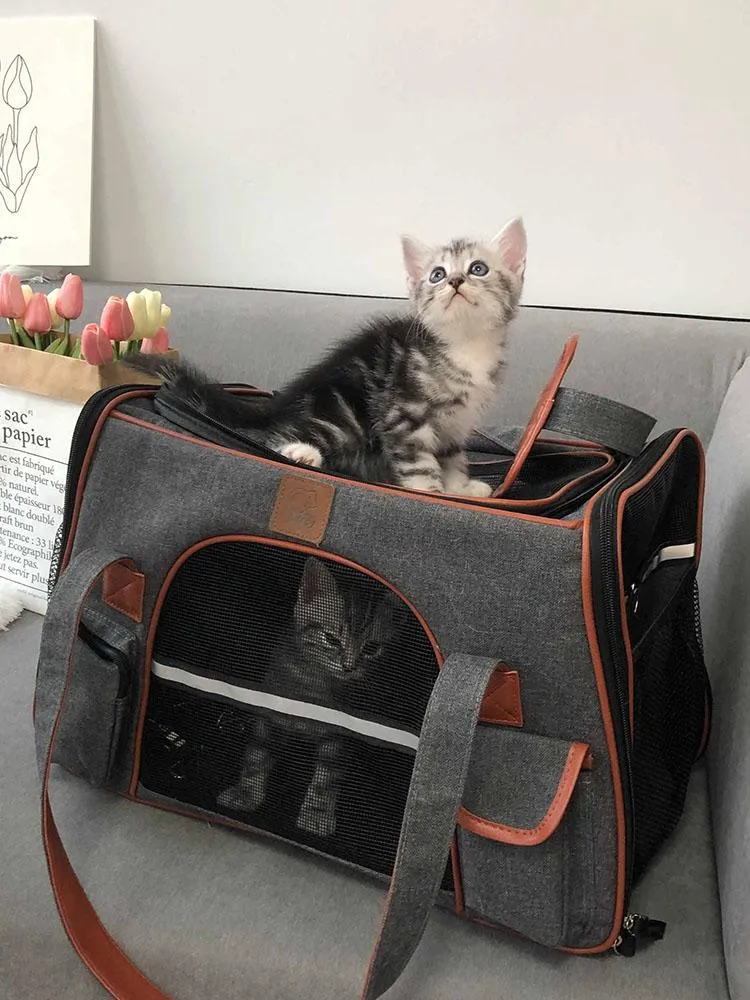 Chip cookies bag