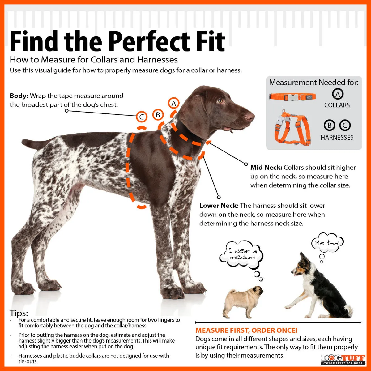 Classic Orange Dog Collar
