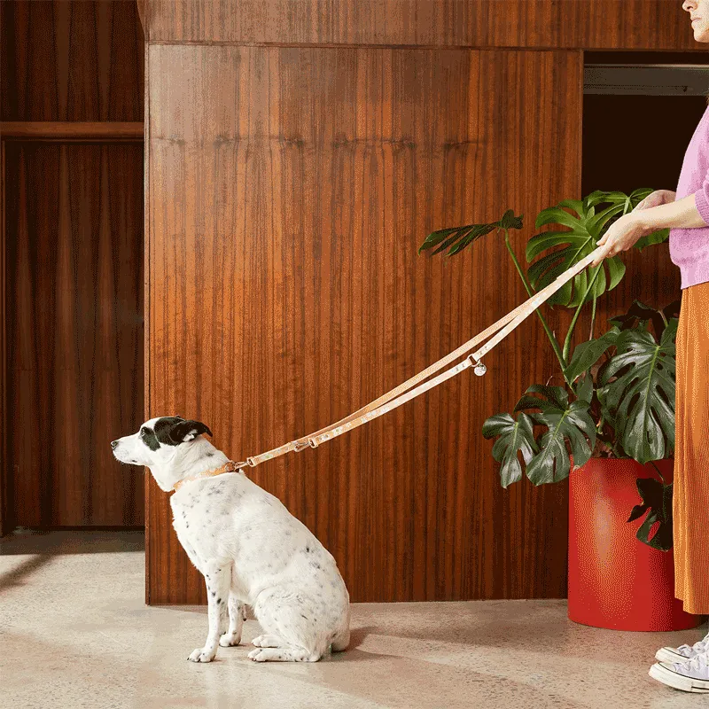 Cord Adjustable Dog Leash - Fruit Salad