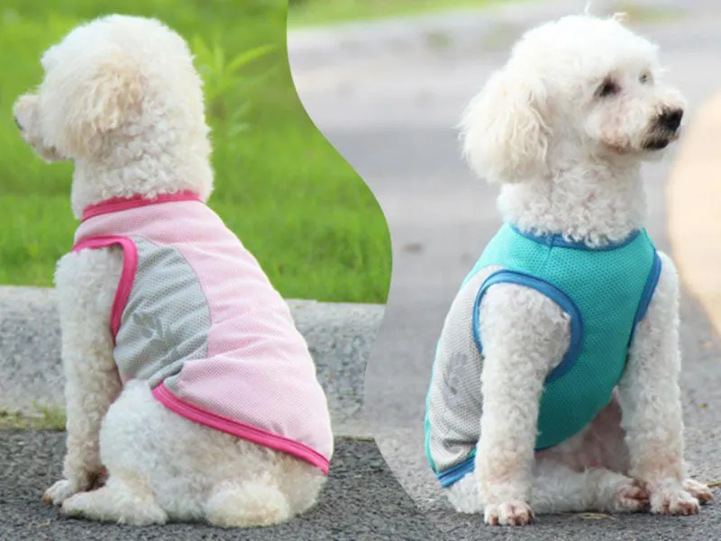 Corgi Bull dog cooling vest cool summer pet clothes