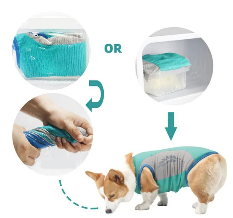 Corgi Bull dog cooling vest cool summer pet clothes