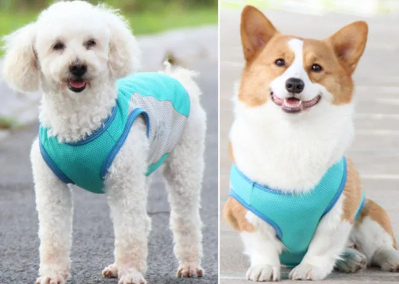 Corgi Bull dog cooling vest cool summer pet clothes