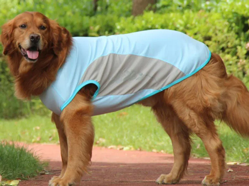 Corgi Bull dog cooling vest cool summer pet clothes