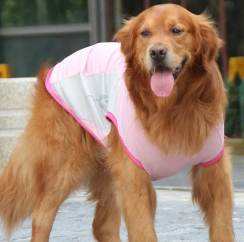 Corgi Bull dog cooling vest cool summer pet clothes