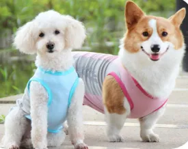 Corgi Bull dog cooling vest cool summer pet clothes