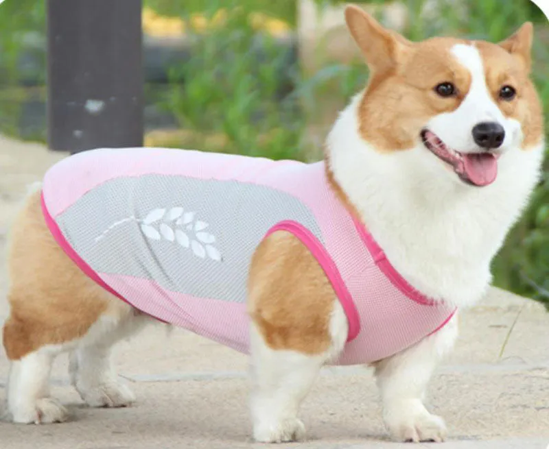 Corgi Bull dog cooling vest cool summer pet clothes