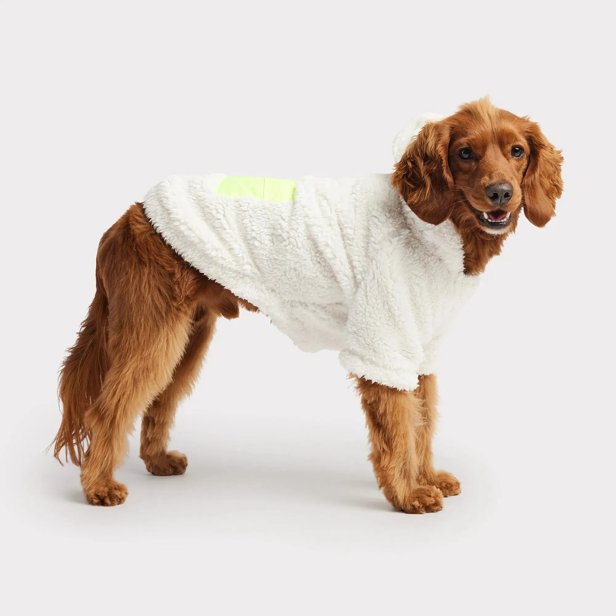 Cozy Dog Hoodie | Off White