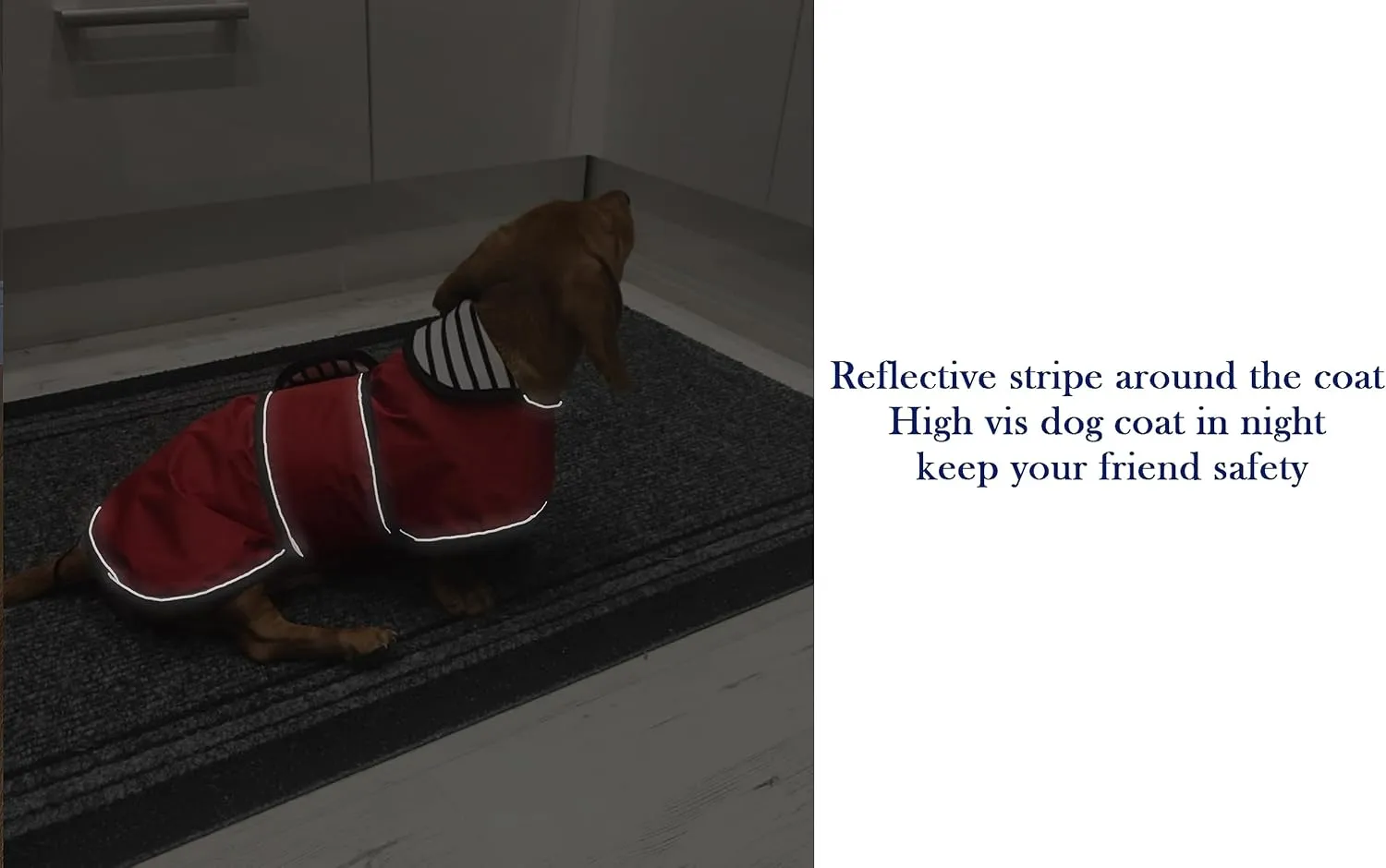 Dachshund Raincoat Corgi Raincoat Dogs Waterproof fit for Dachshunds Weiner Long Back Breeds with Reflective Stripe Great Coverage in Autumn Winter - Red - M