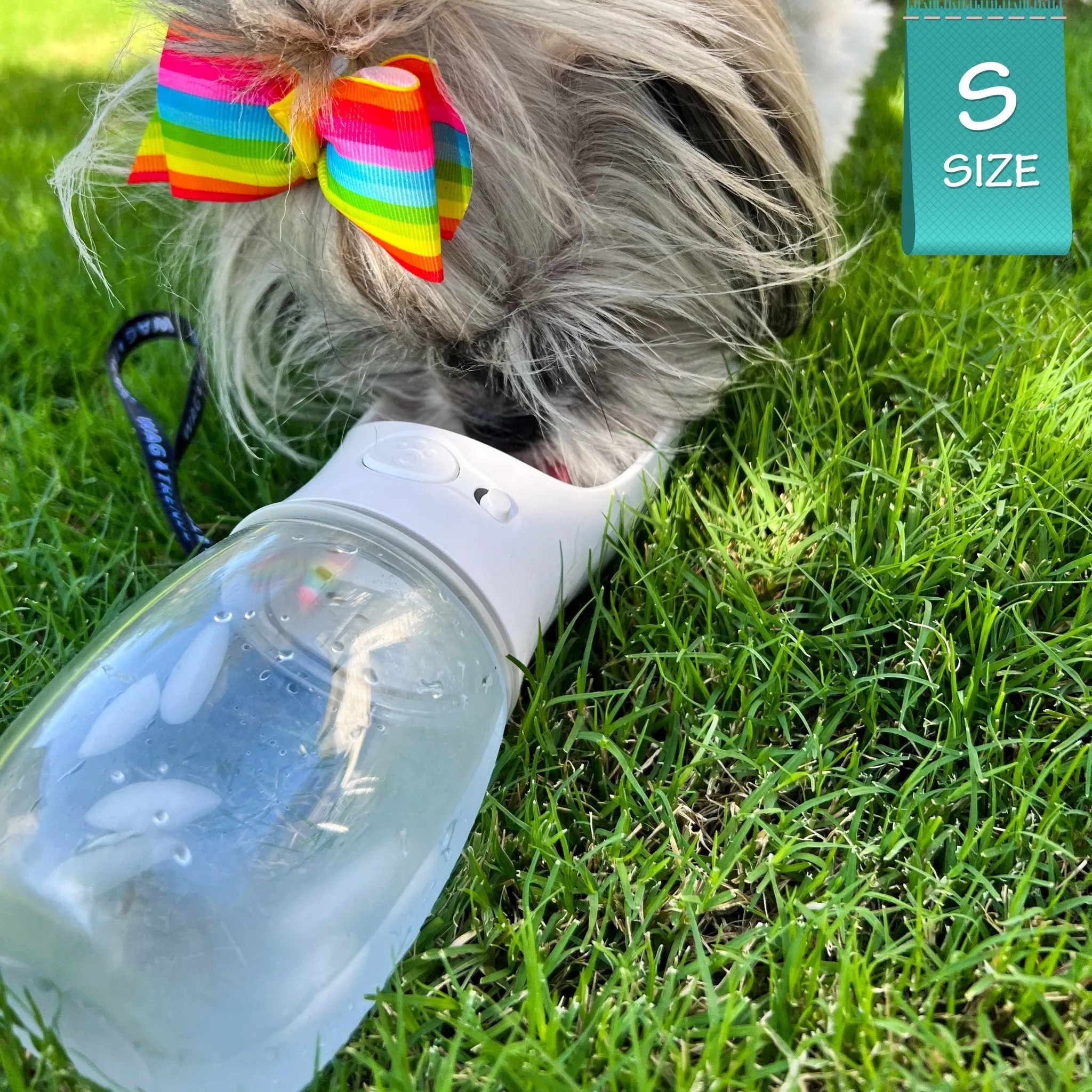 Dog Portable Water Bottle