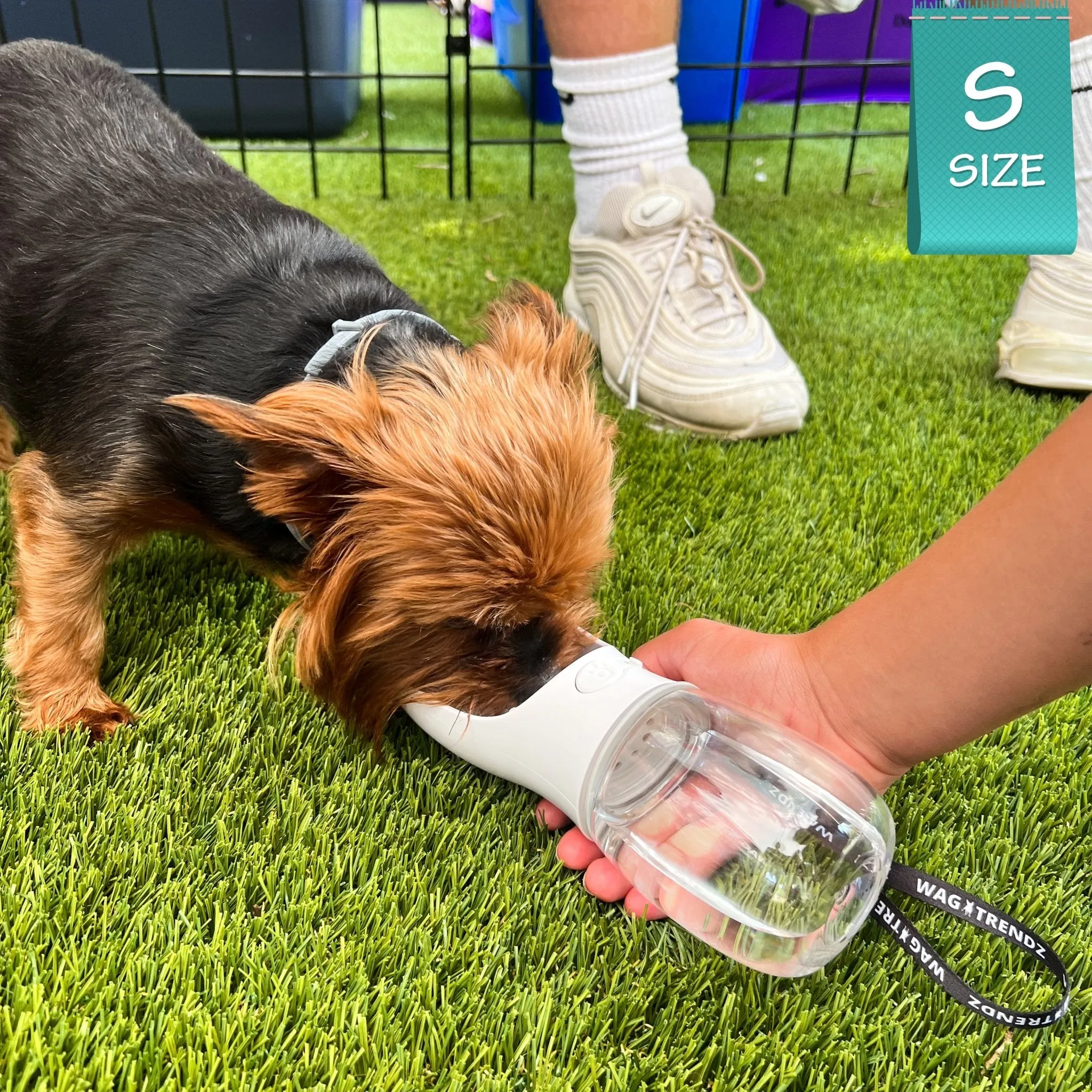 Dog Portable Water Bottle