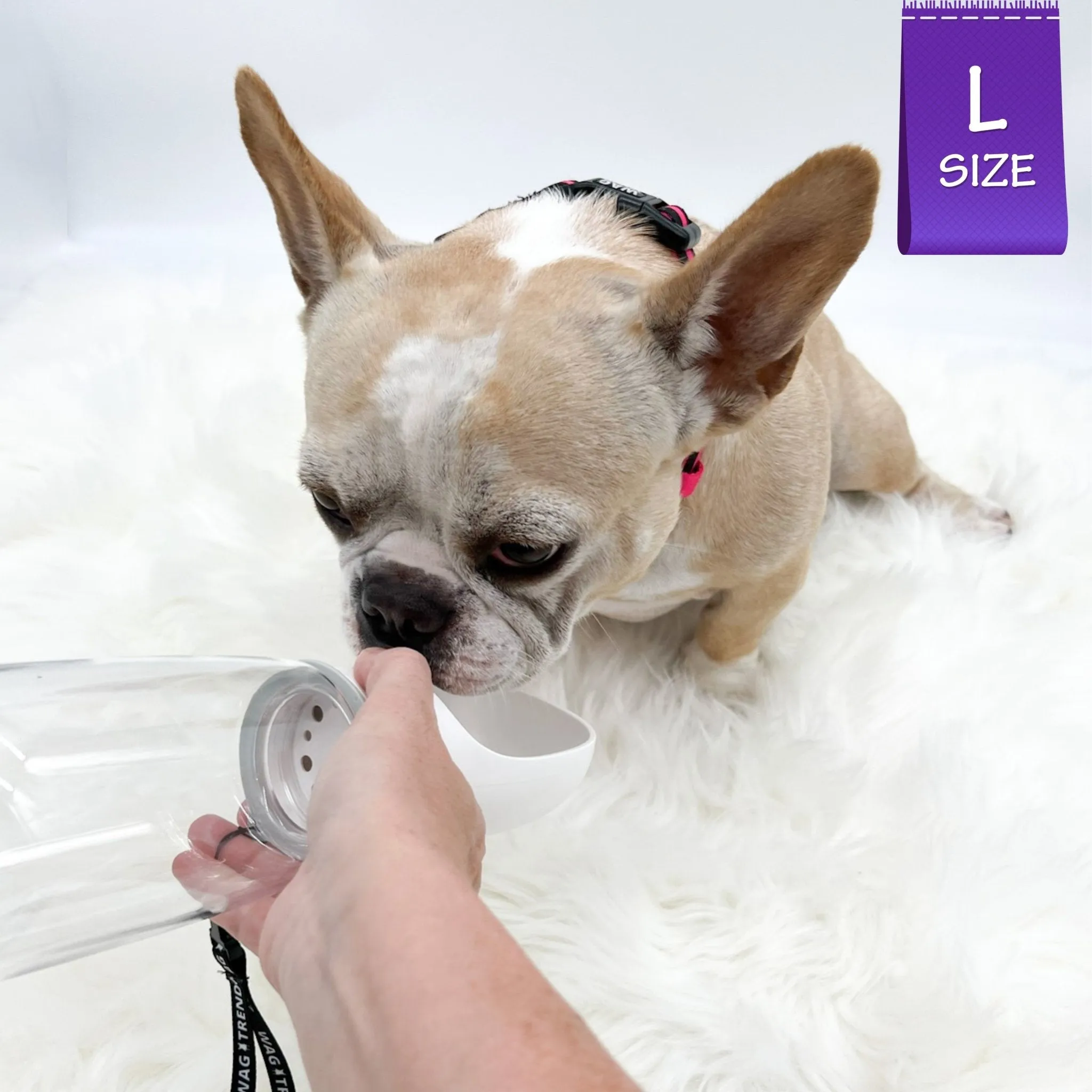 Dog Portable Water Bottle