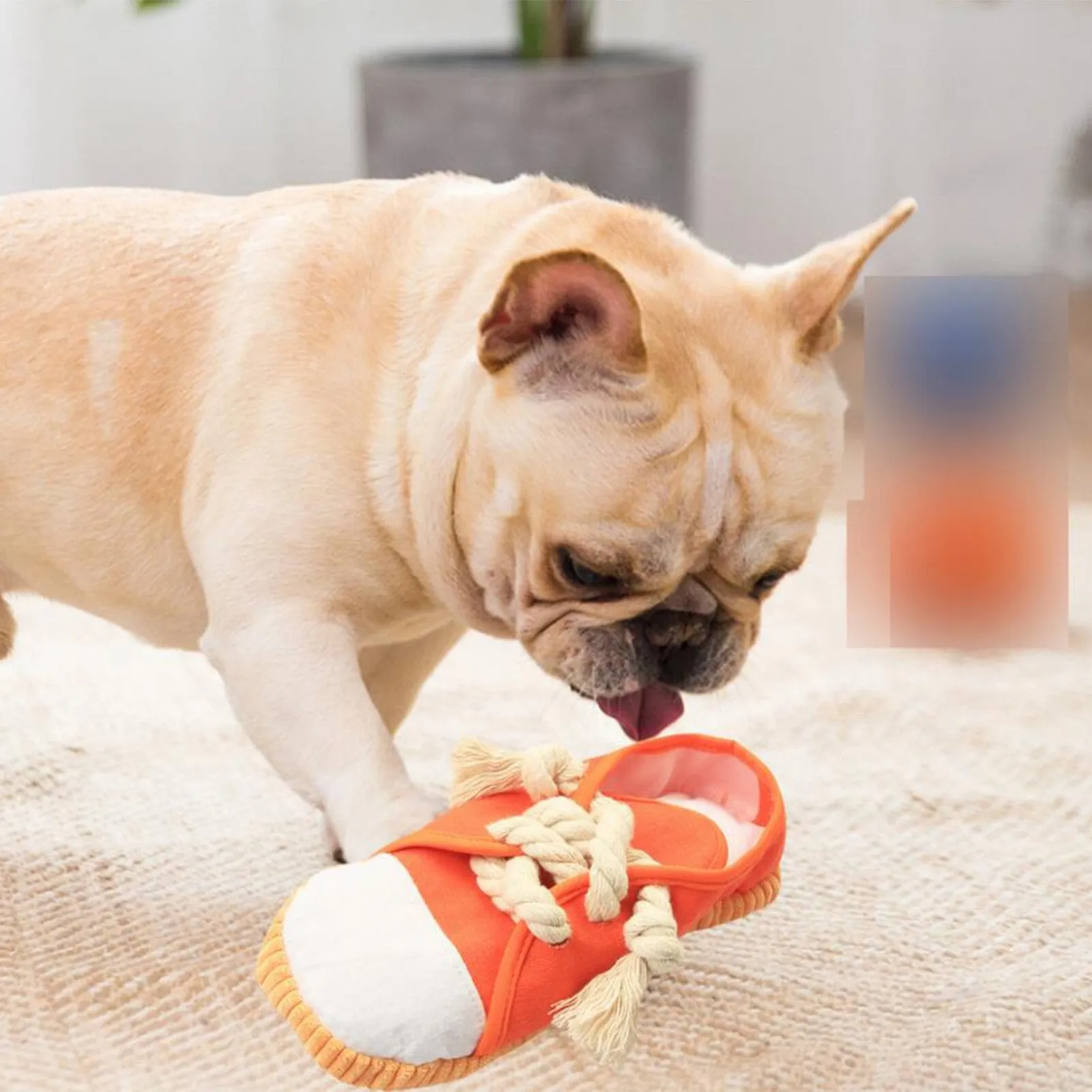 Dog Shoe Chew Toy: Safe and Durable Squeaky Bite Toy for Small to Medium Dogs, Cats, and Birds