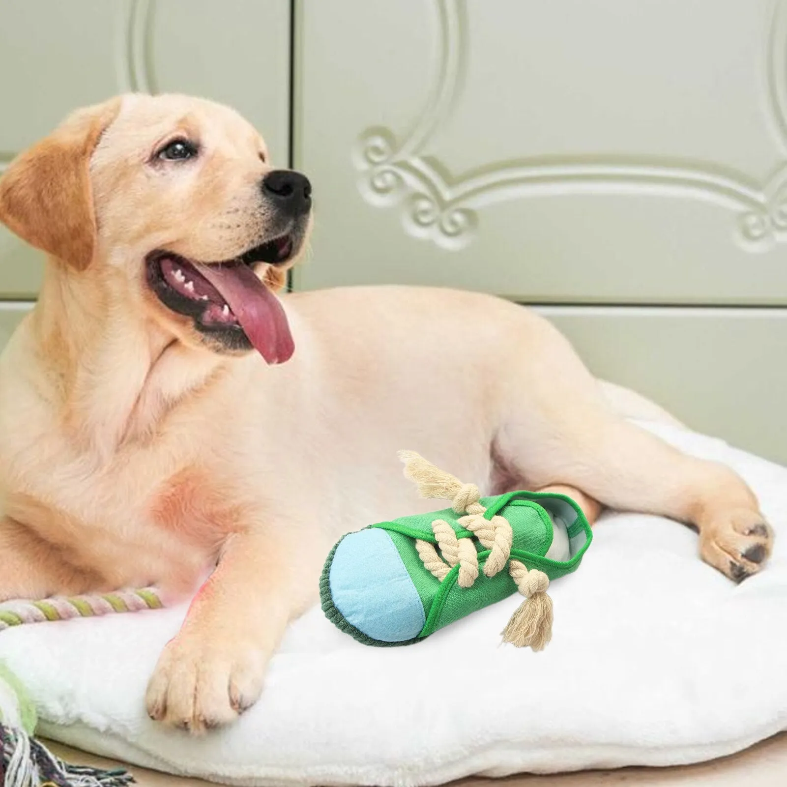 Dog Shoe Chew Toy: Safe and Durable Squeaky Bite Toy for Small to Medium Dogs, Cats, and Birds