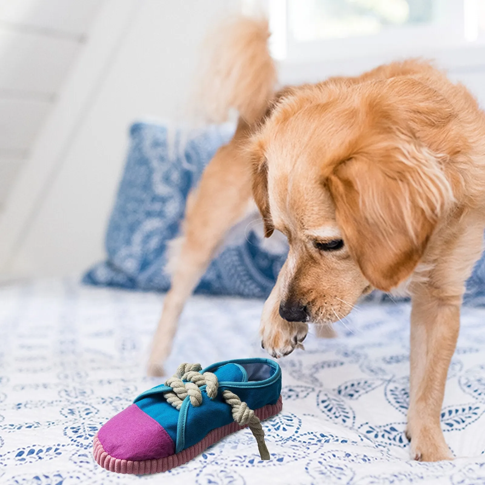 Dog Shoe Chew Toy: Safe and Durable Squeaky Bite Toy for Small to Medium Dogs, Cats, and Birds