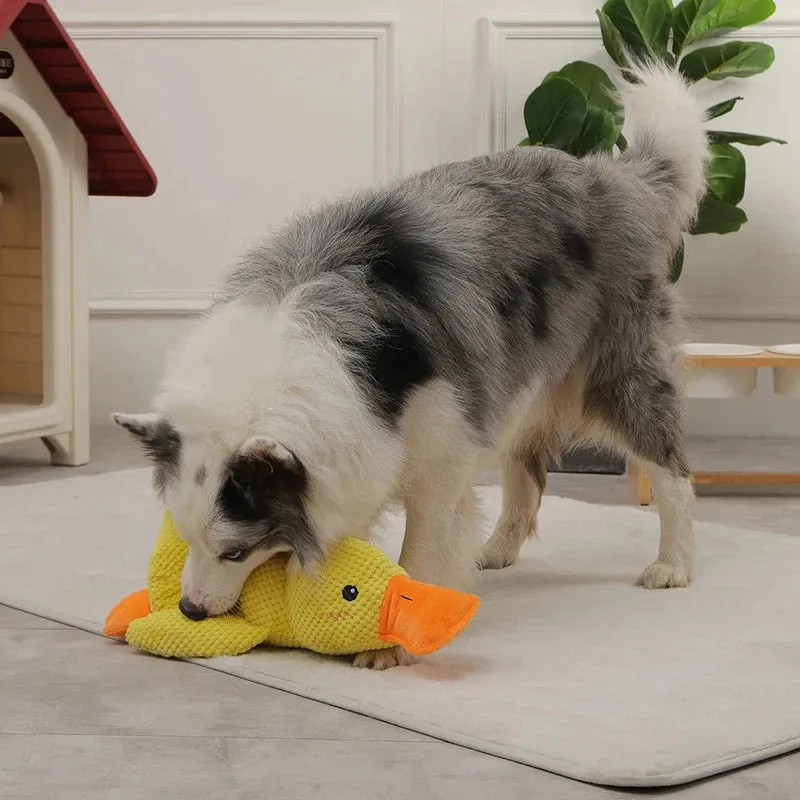 Duck Chew Toy – Fun & Sound Interactive