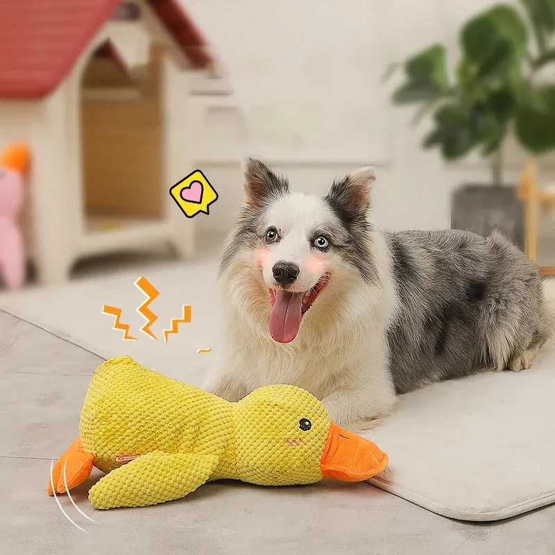 Duck Chew Toy – Fun & Sound Interactive