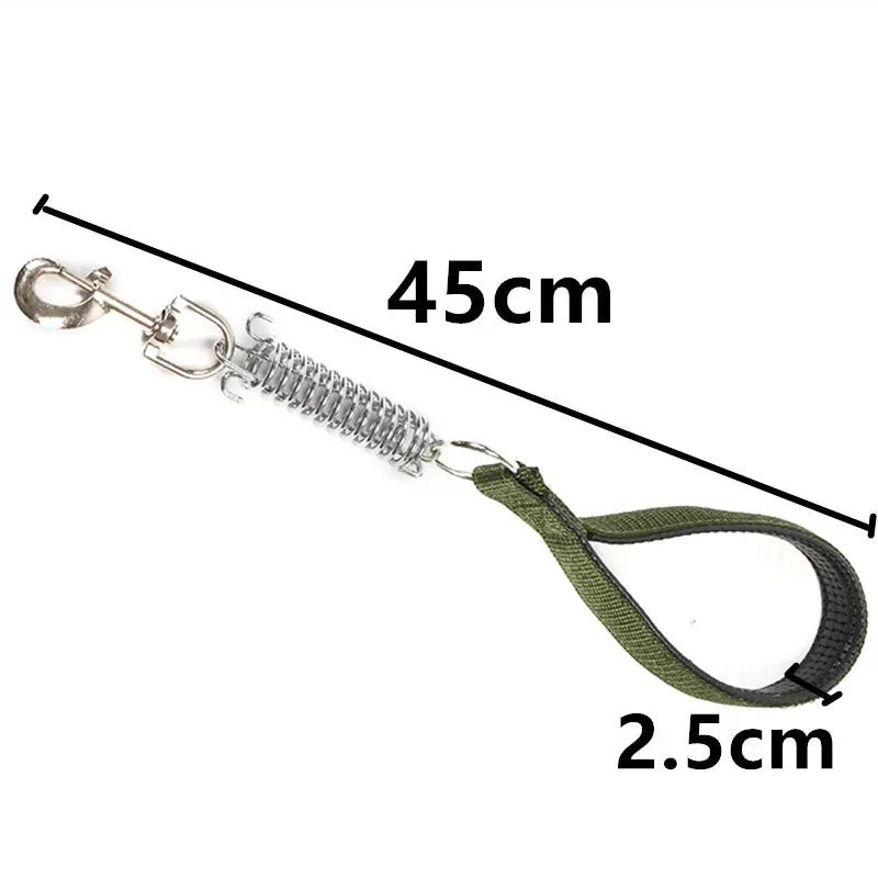 Durable Dog Leash for Large Dogs - Padded Nylon and Leather