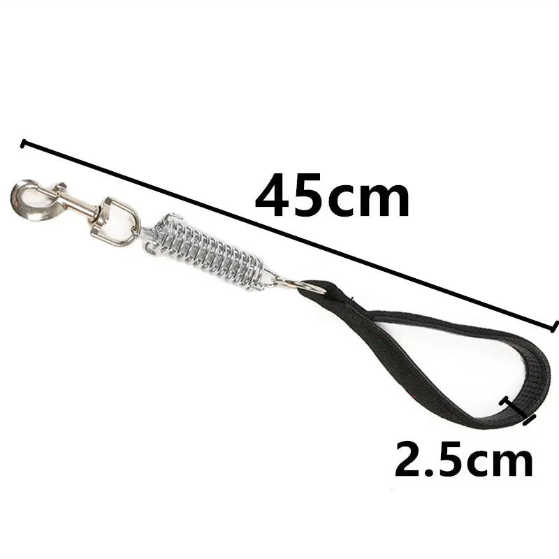 Durable Dog Leash for Large Dogs - Padded Nylon and Leather